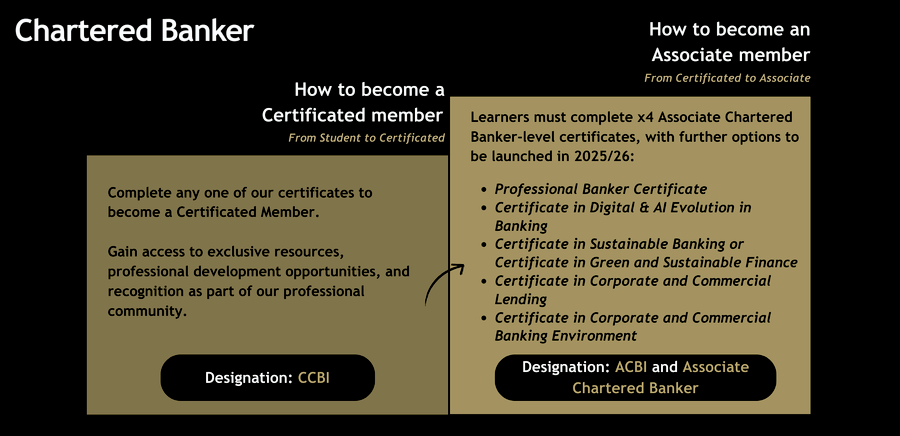 framework Overview without Chartered Banker.png