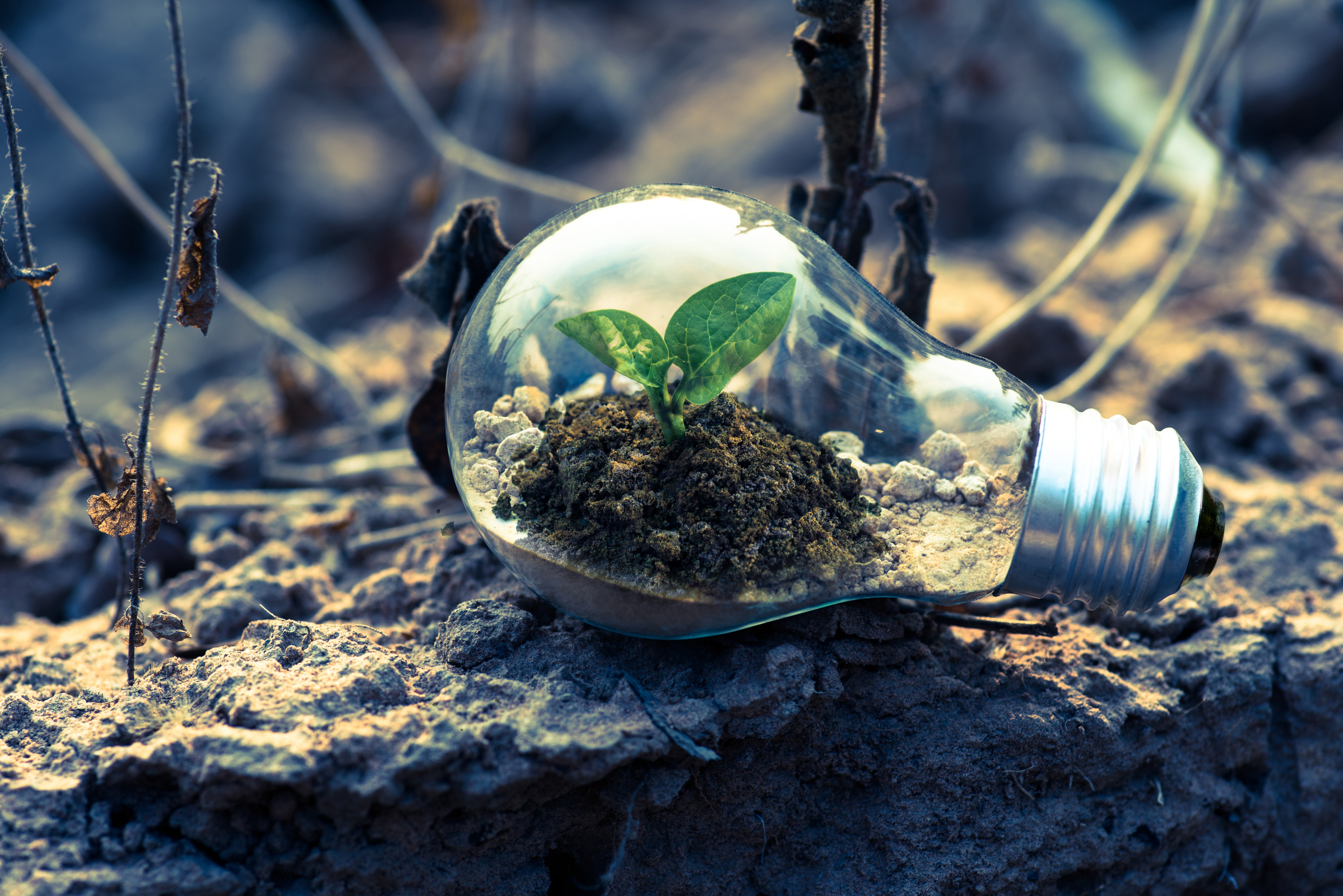 Sustainable finance – today or tomorrow?